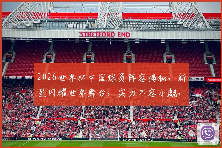 2026世界杯中国球员阵容揭秘，新星闪耀世界舞台，实力不容小觑，值得关注