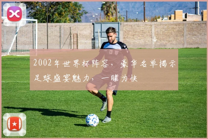 2002年世界杯阵容，豪华名单揭示足球盛宴魅力，一睹为快