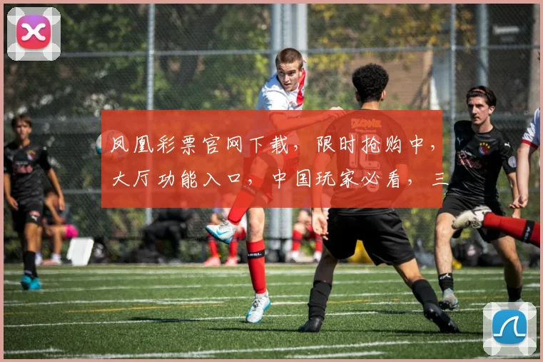 凤凰彩票官网下载，限时抢购中，大厅功能入口，中国玩家必看，三重惊喜等你来