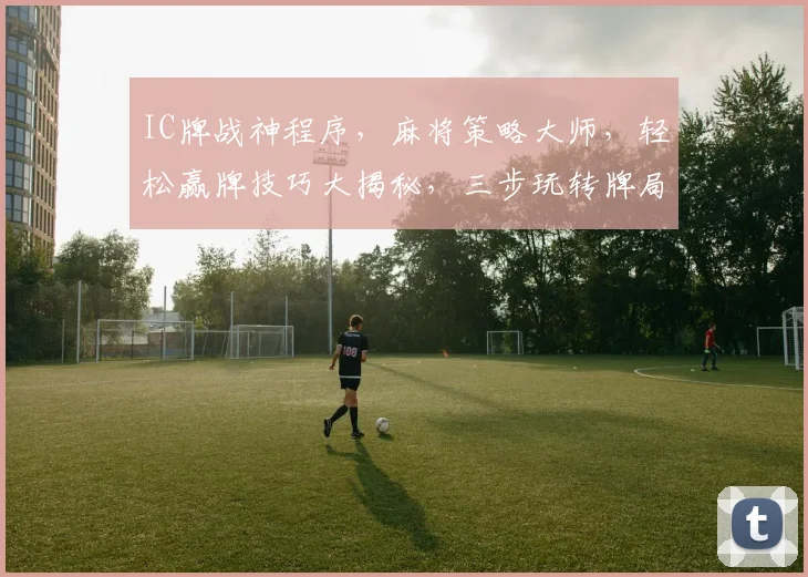 IC牌战神程序，麻将策略大师，轻松赢牌技巧大揭秘，三步玩转牌局