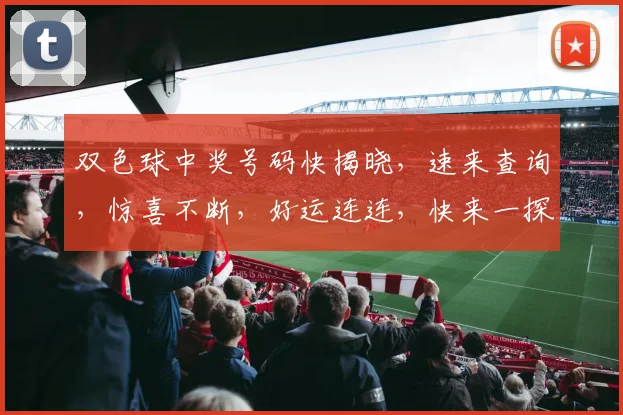 双色球中奖号码快揭晓，速来查询，惊喜不断，好运连连，快来一探究竟