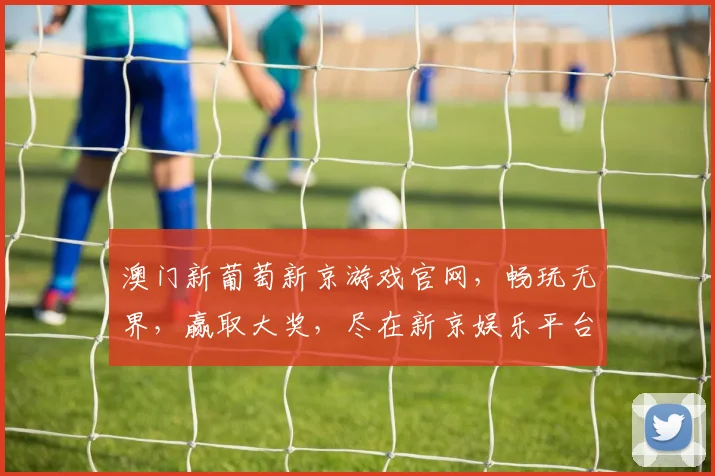 澳门新葡萄新京游戏官网，畅玩无界，赢取大奖，尽在新京娱乐平台