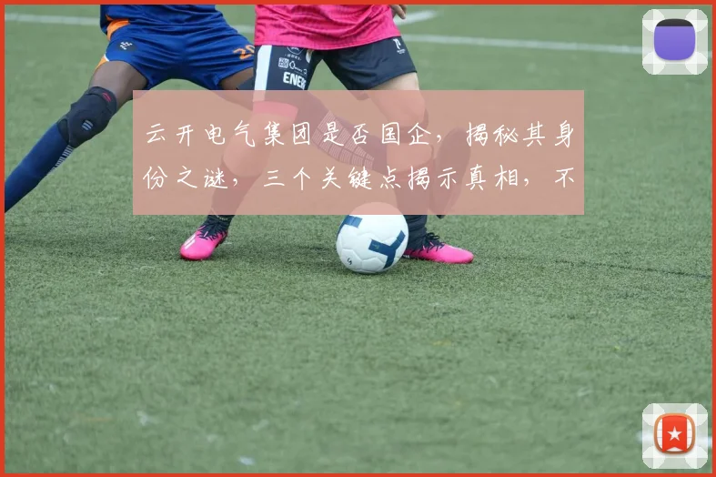 云开电气集团是否国企，揭秘其身份之谜，三个关键点揭示真相，不容错过